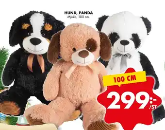 Hund, Panda