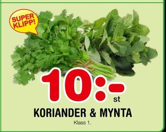 Nya Pulsen Koriander & mynta erbjuda