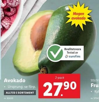 Lidl Avokado erbjuda