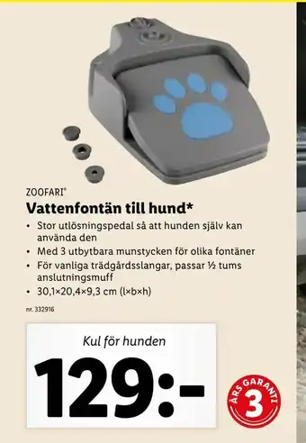 Vattenfontän till hund