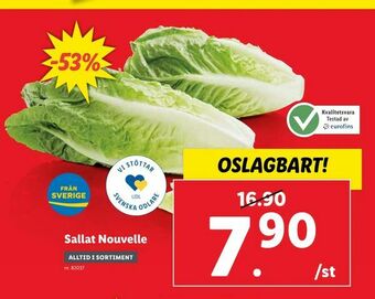 Sallat Nouvelle