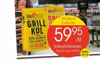 Favorit Grillkol/briketter