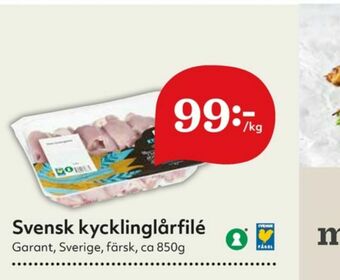 Garant Kycklinglårfile