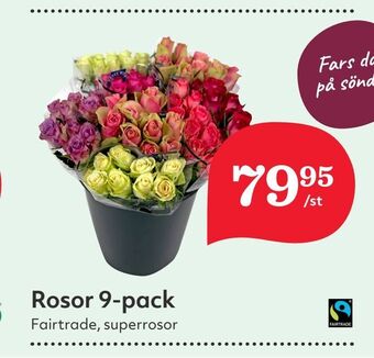 Hemköp Rosor 9-pack erbjuda