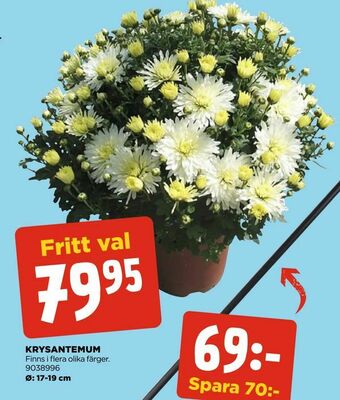 Jem&Fix Krysantemum erbjuda