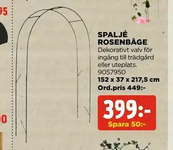 Spaljé rosenbåge