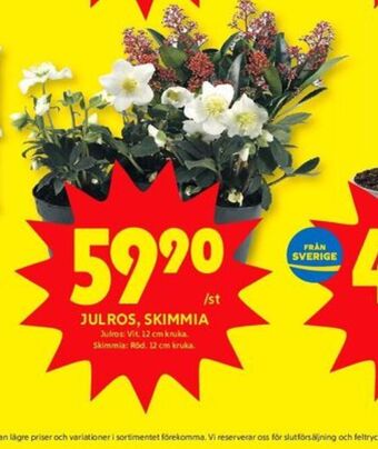 ICA Kvantum Ica plantor erbjuda