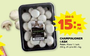Stora Coop Champinjoner i ask erbjuda