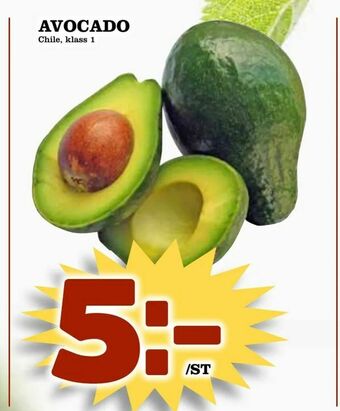 Avocado
