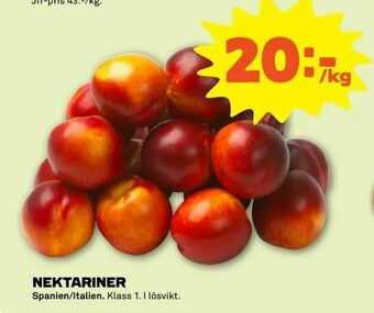 Nektariner