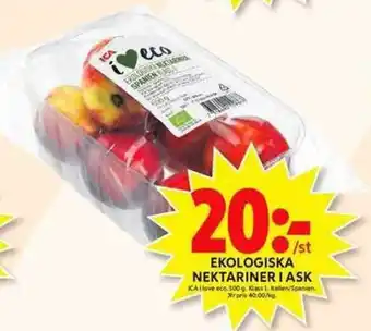 ICA Maxi ICA I Love Eco Ekologiska Nektariner I Ask 500g erbjuda