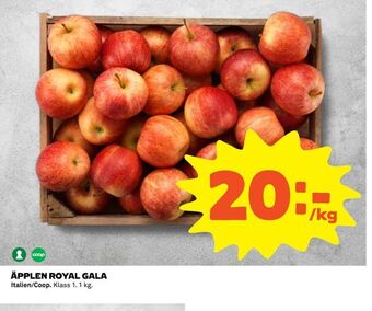 Coop Äpplen royal gala erbjuda