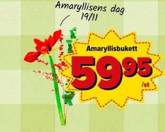 Östenssons Driscolls blommor erbjuda