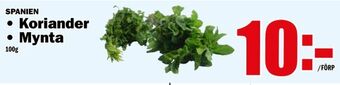 Matdax Koriander • mynta erbjuda
