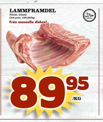 Supergrossen Lammframdel erbjuda
