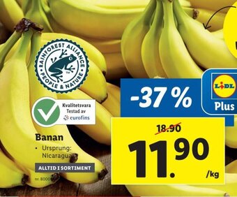 Banan