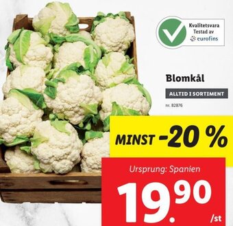 Lidl Blomkål erbjuda