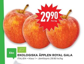 Willys Hemma Ekologiska äpplen royal gala erbjuda