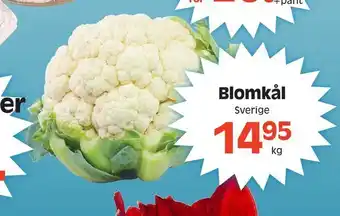 Götgatsbacken Blomkål erbjuda
