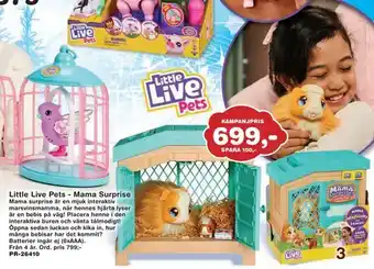 Little live pets - mama surprise