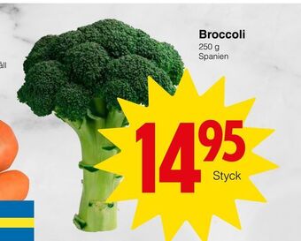 Matöppet Broccoli erbjuda