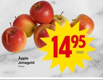 Matöppet Äpple jonagold erbjuda