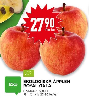 Willys Ekologiska äpplen royal gala erbjuda