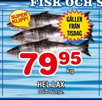 Nya Pulsen Hel lax erbjuda