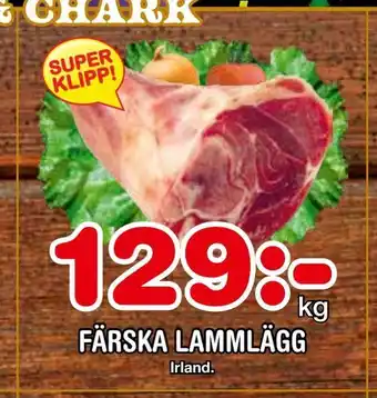 Färska lammlägg