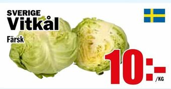 Matdax Vitkål erbjuda