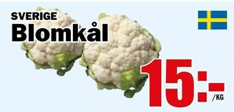 Matdax Blomkål erbjuda