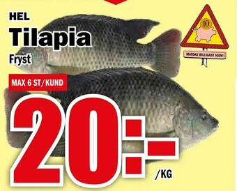 Matdax Tilapia erbjuda