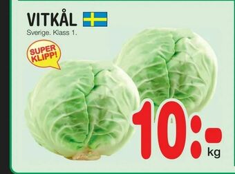 Nya Pulsen Vitkål erbjuda