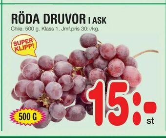 Röda druvor