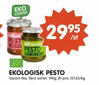 Ekologisk pesto