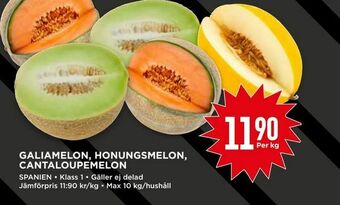 Willys Galiamelon, honungsmelon, cantaloupemelon erbjuda
