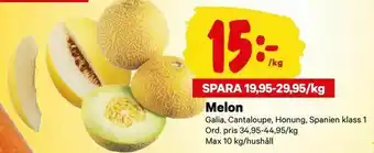 Melon