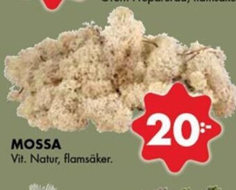 ÖoB Mossa erbjuda