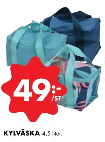 Kylväska 4,5 liter