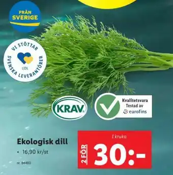 Ekologisk dill 16,90kr/st