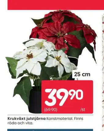 Rusta Smart blommor erbjuda