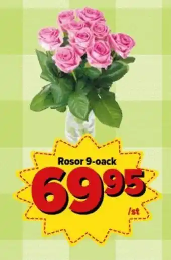 Östenssons Rosor 9-oack erbjuda