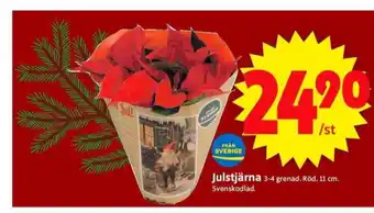 ICA Supermarket Melodifestivalen krukväxt erbjuda