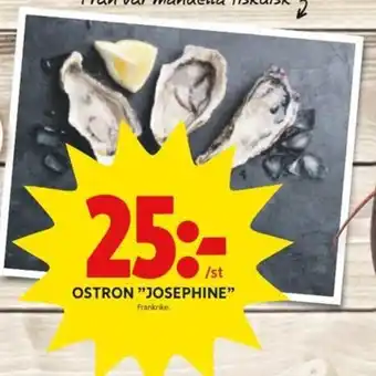 ICA Kvantum Ostron "Josephine" erbjuda
