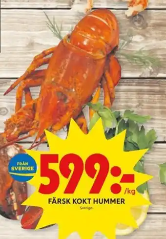 Färsk Kokt Hummer