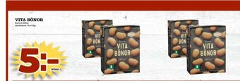Vita bönor