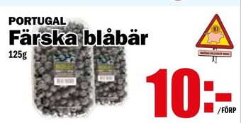 Matdax Färska blåbär erbjuda
