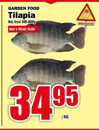 Matdax Tilapia erbjuda