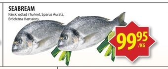 Matvärlden Tensta Seabream erbjuda