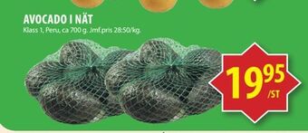 Matvärlden Tensta Avocado i nät erbjuda